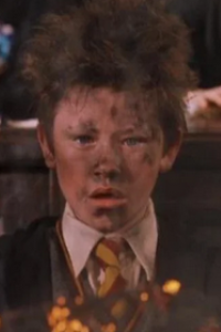 Harry Potter and the Sorcerer's Stone